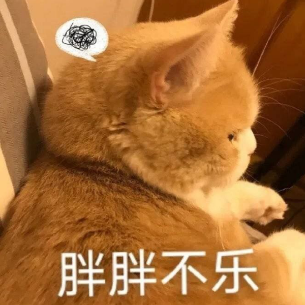 每天都想换ID