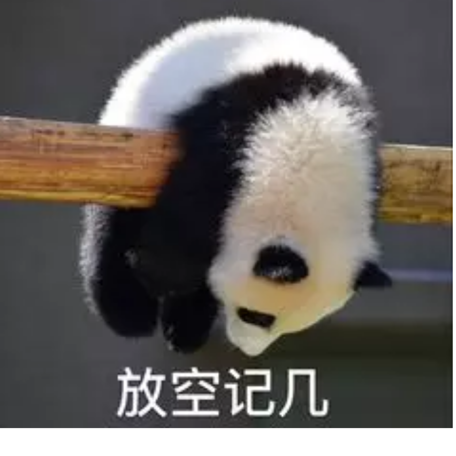 比bra更贴心