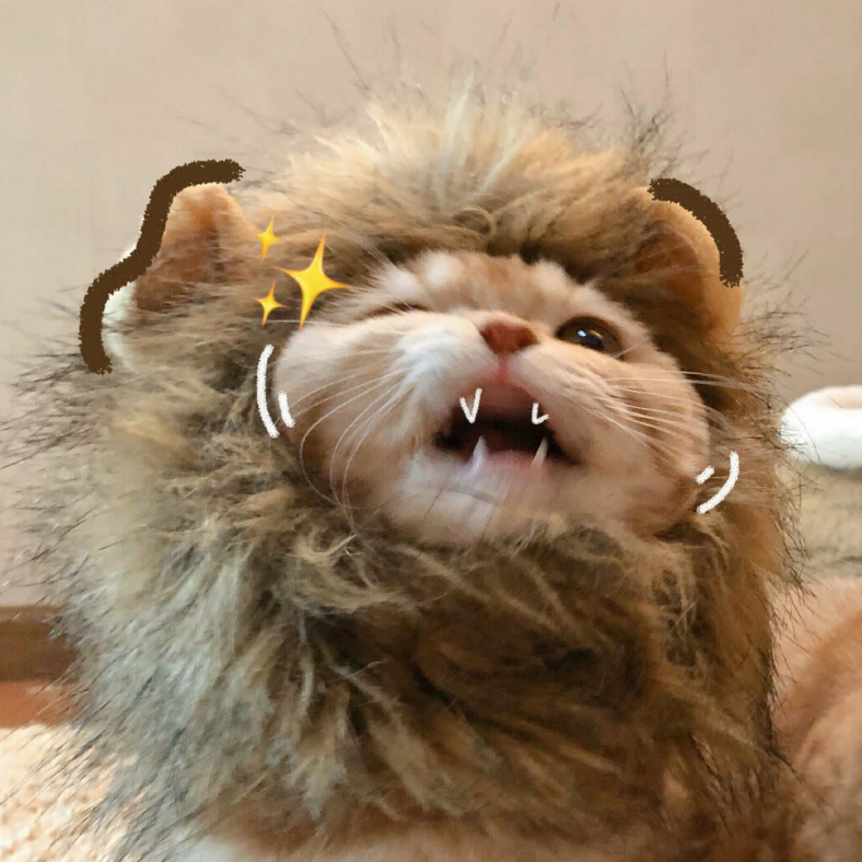 人潮拥挤我保护你