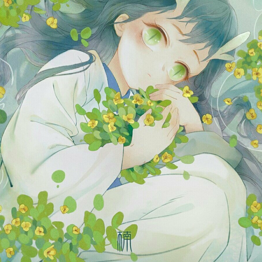 楠楠木