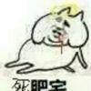 死肥宅·蒸斯林
