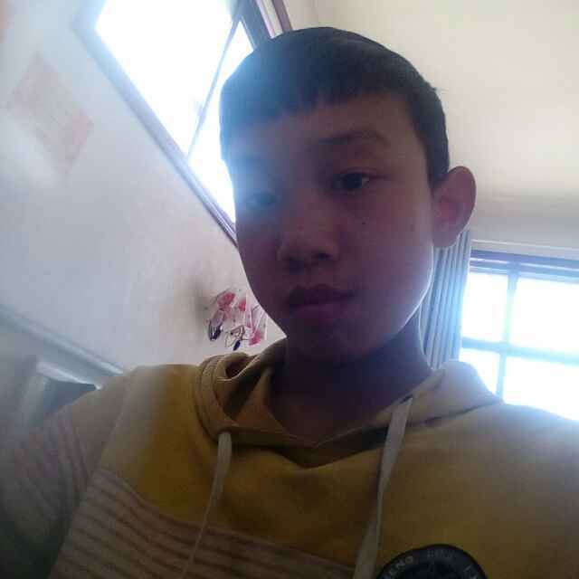 鹿卉