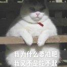 枫叶