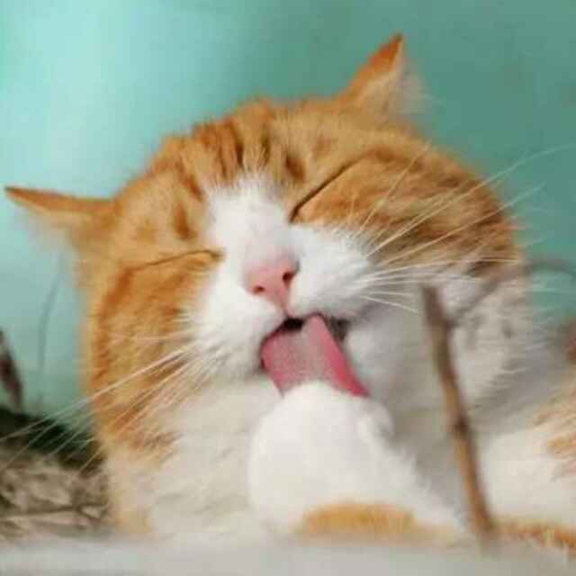 დ碧瑶๑҉