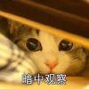 蓝田日暖玉生烟