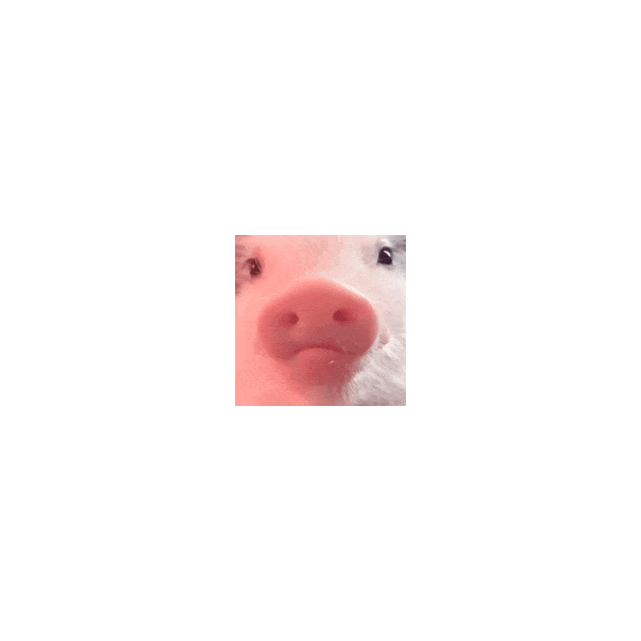 从不充电玩手机
