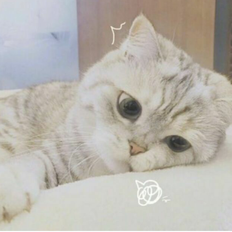 ༺墨༒殇༻
