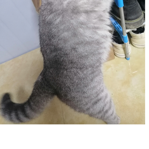 火炎焱焱