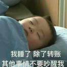 一条小豪豪OvO