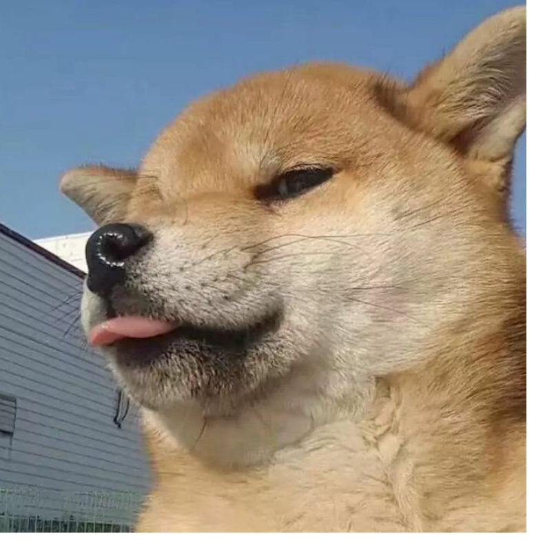 哦豁