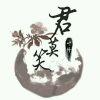 北溟君丿青莲