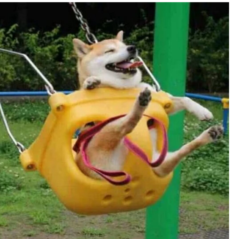 青竹
