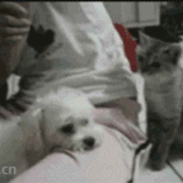 nniangao
