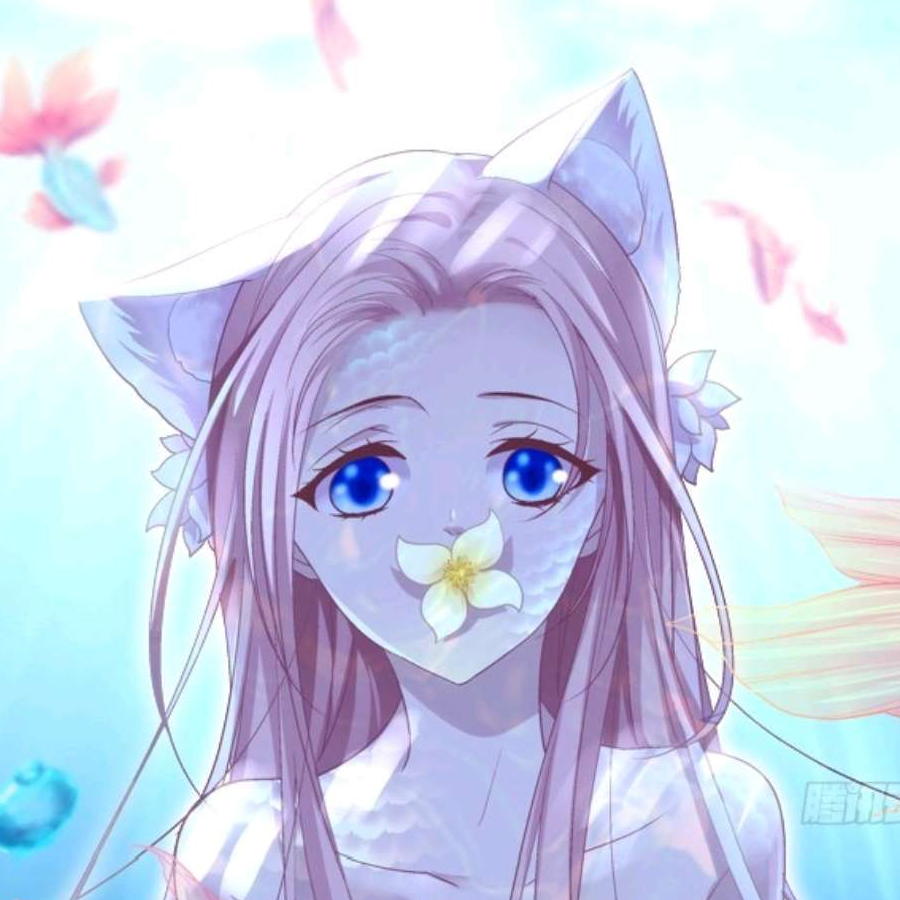 凤璟FJ