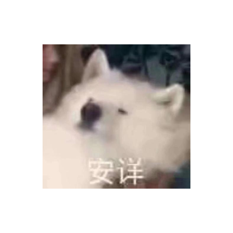 Soy