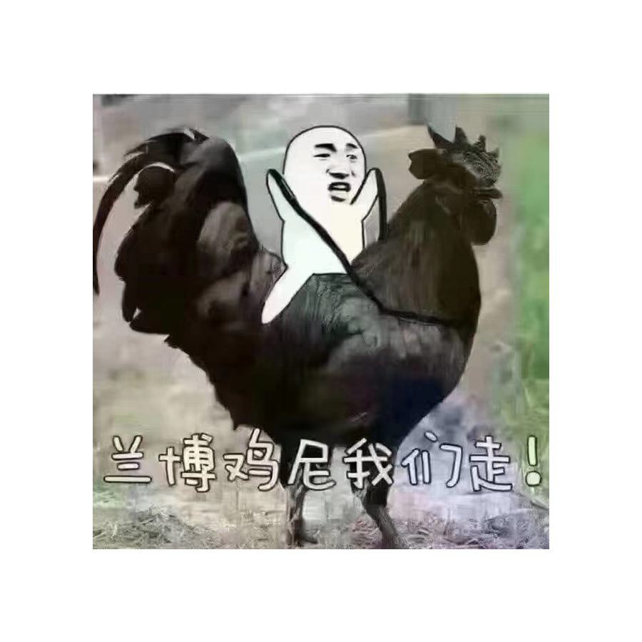 这妹妹我见过的