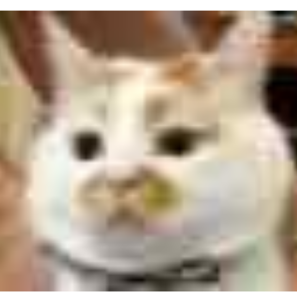春风不知意