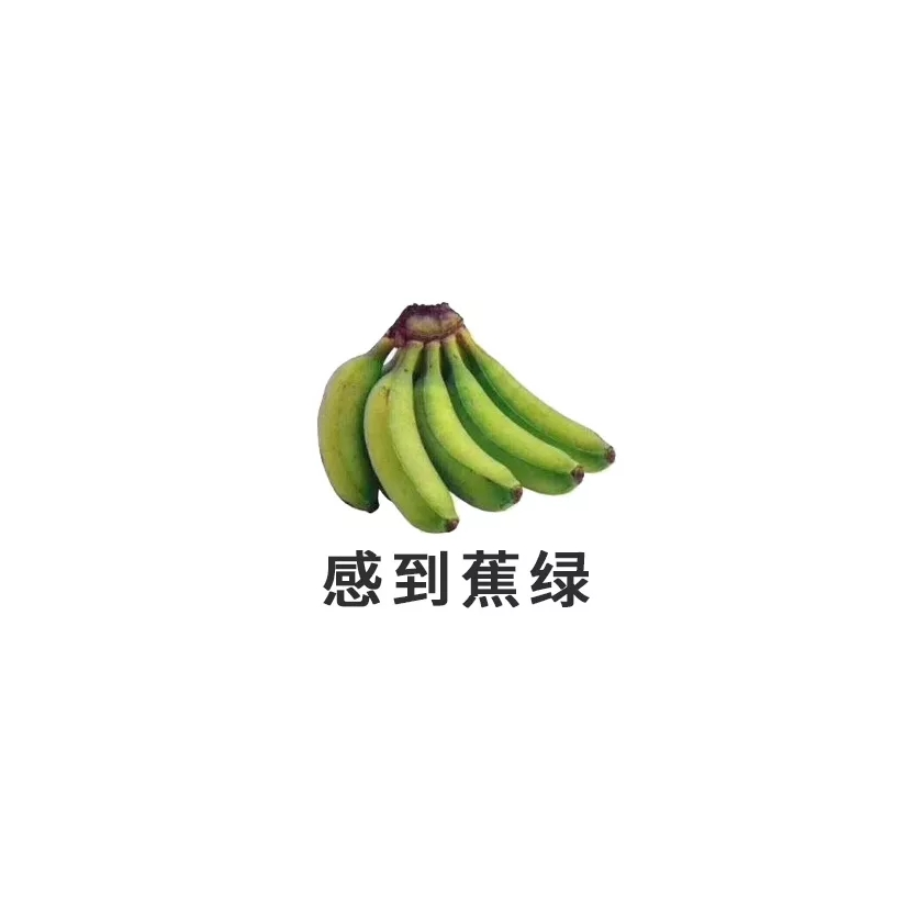 ʕ•̫͡•ིʔྀ｡+ﾟ♪ʕ•