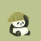喵主子的滚滚