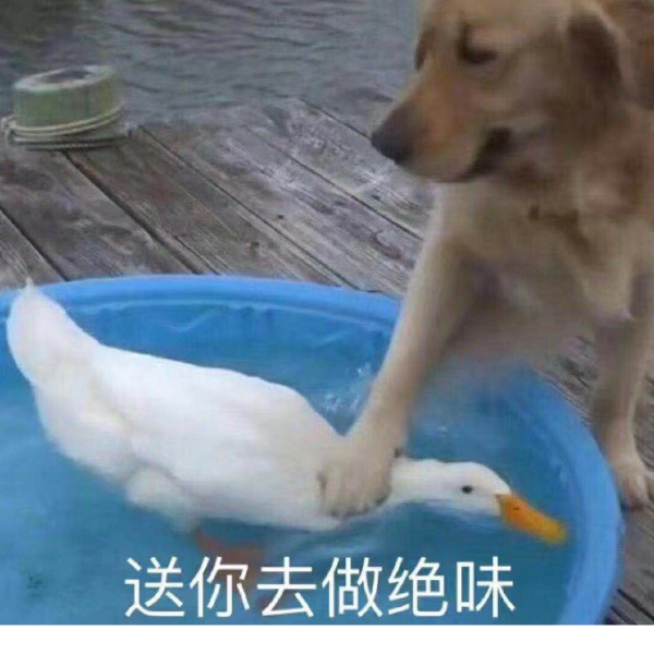 忆雨