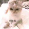 清墨