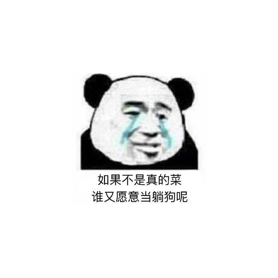 手机用户566