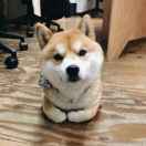 张博文。小张OwO