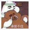 阿wing呐