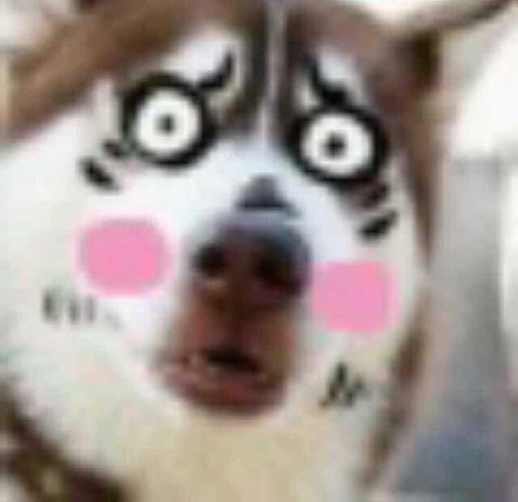 汪！