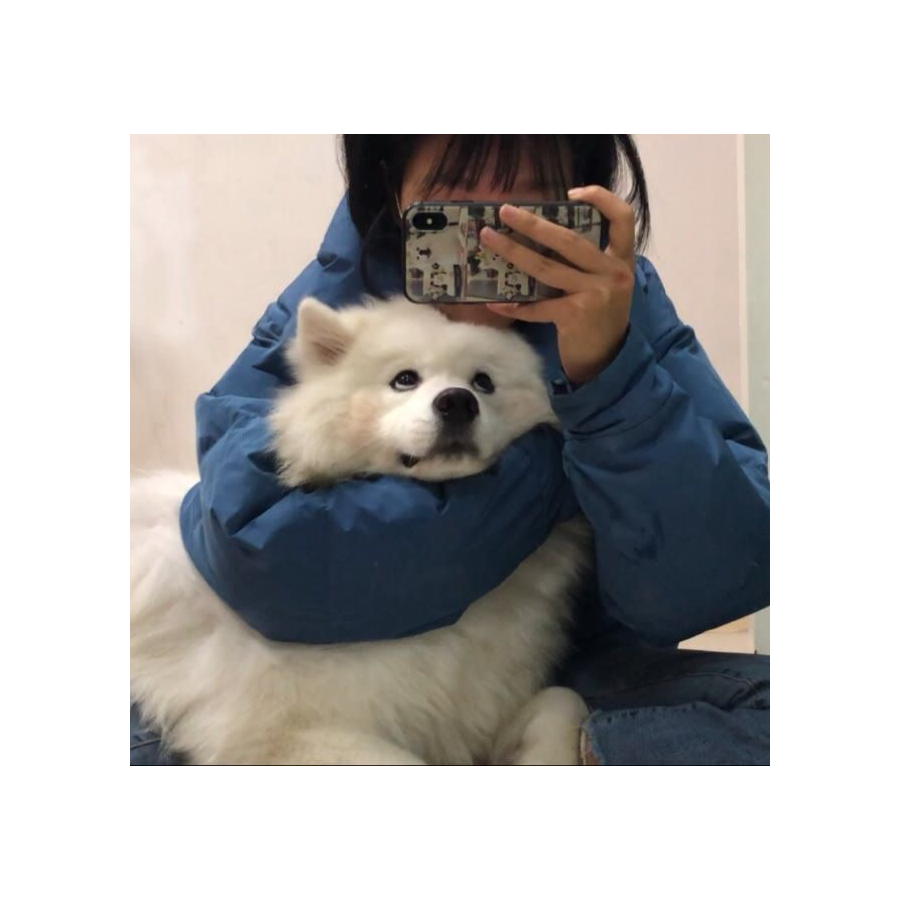 戴戴