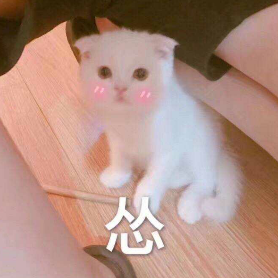 花点点兔兔