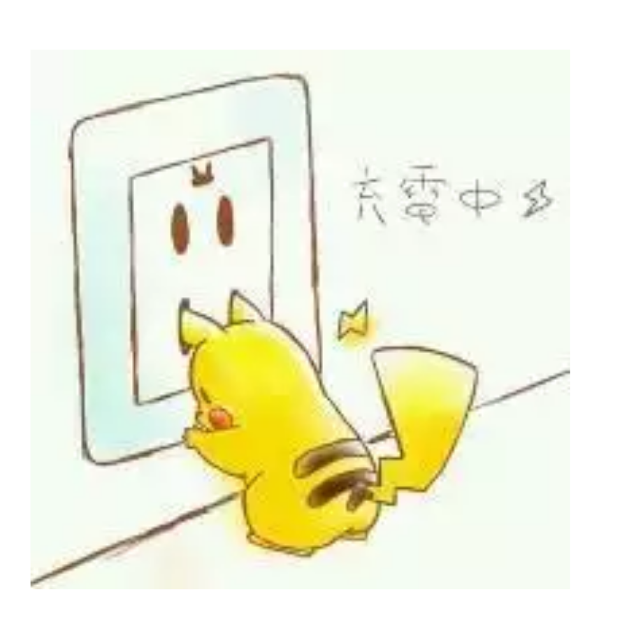 司