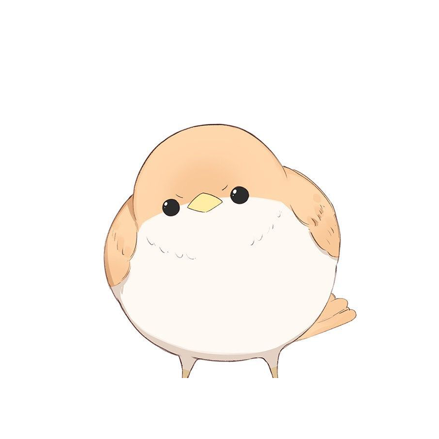 沙砾
