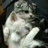User17705109