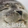 面包0.0