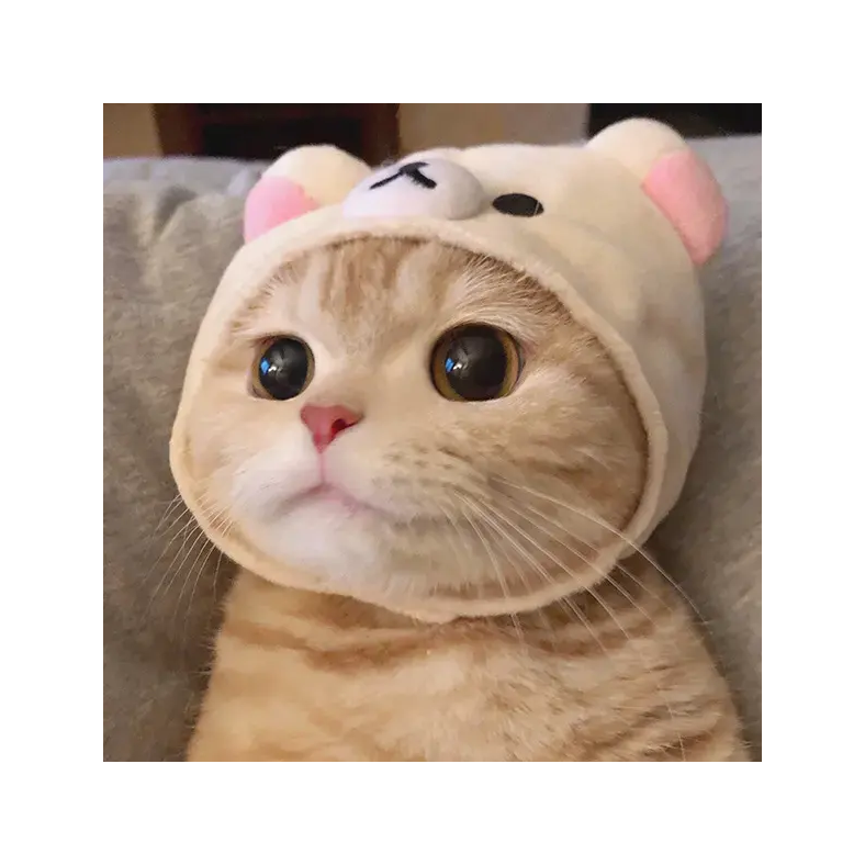 知白守黑