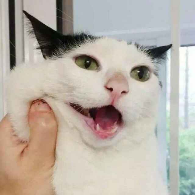 胡