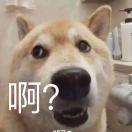 你可来拉