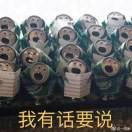 张渐东东东东东东东东东东东东东