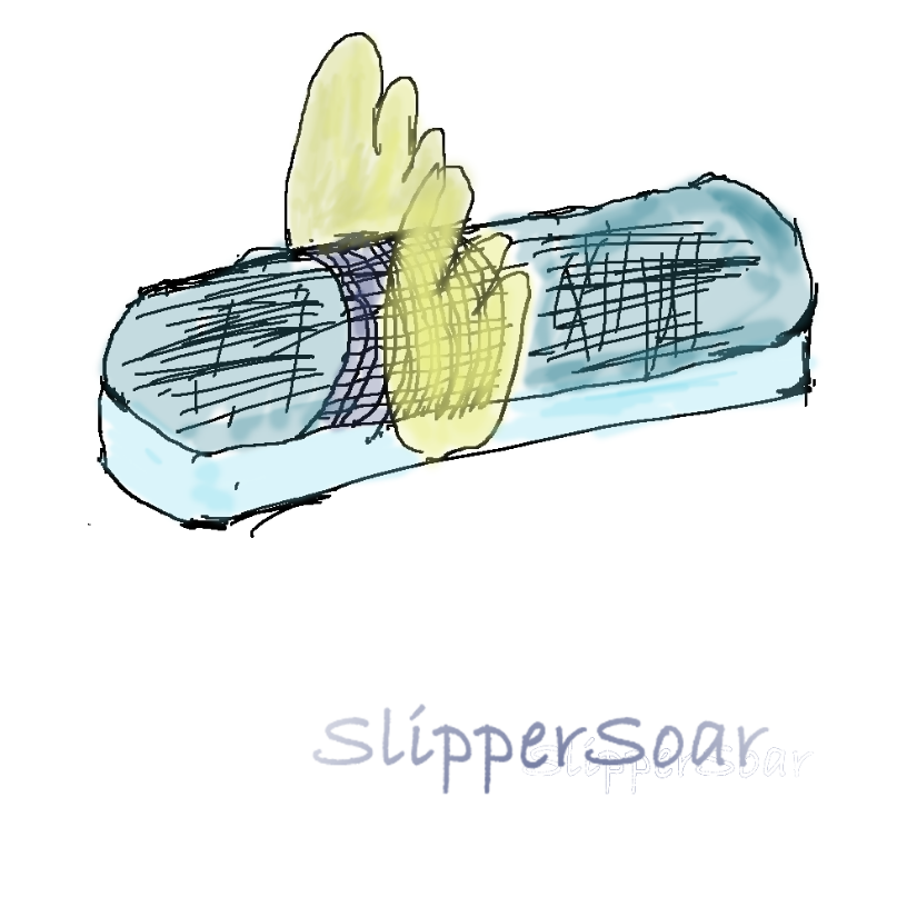 SlipperSoar