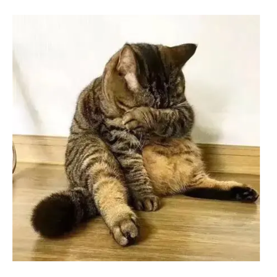 归 慌