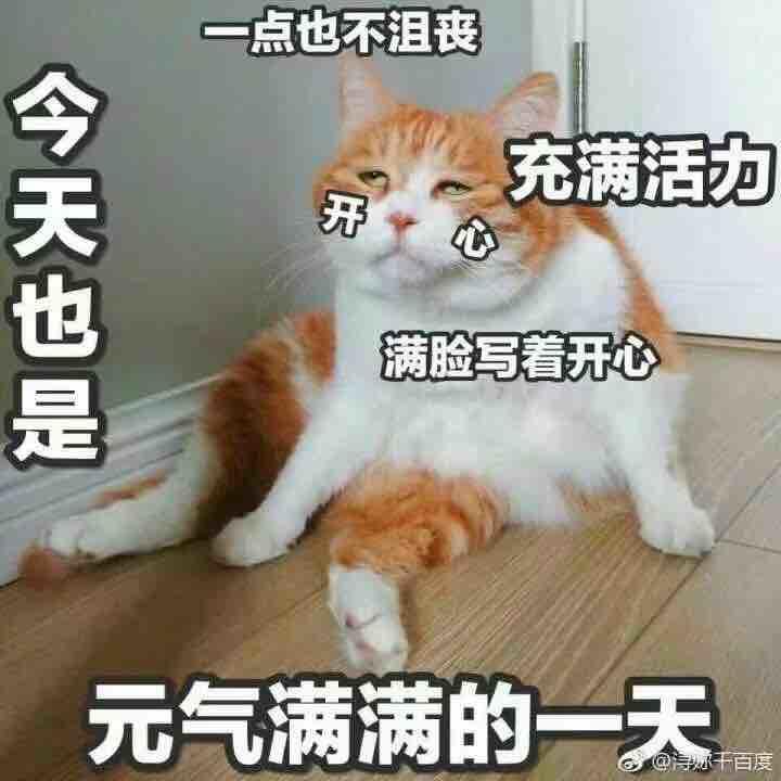 窝狠凯森