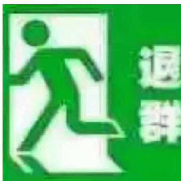 陆十一