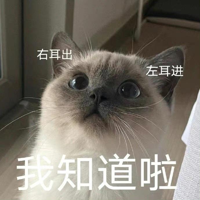 我负责嘎嘎
