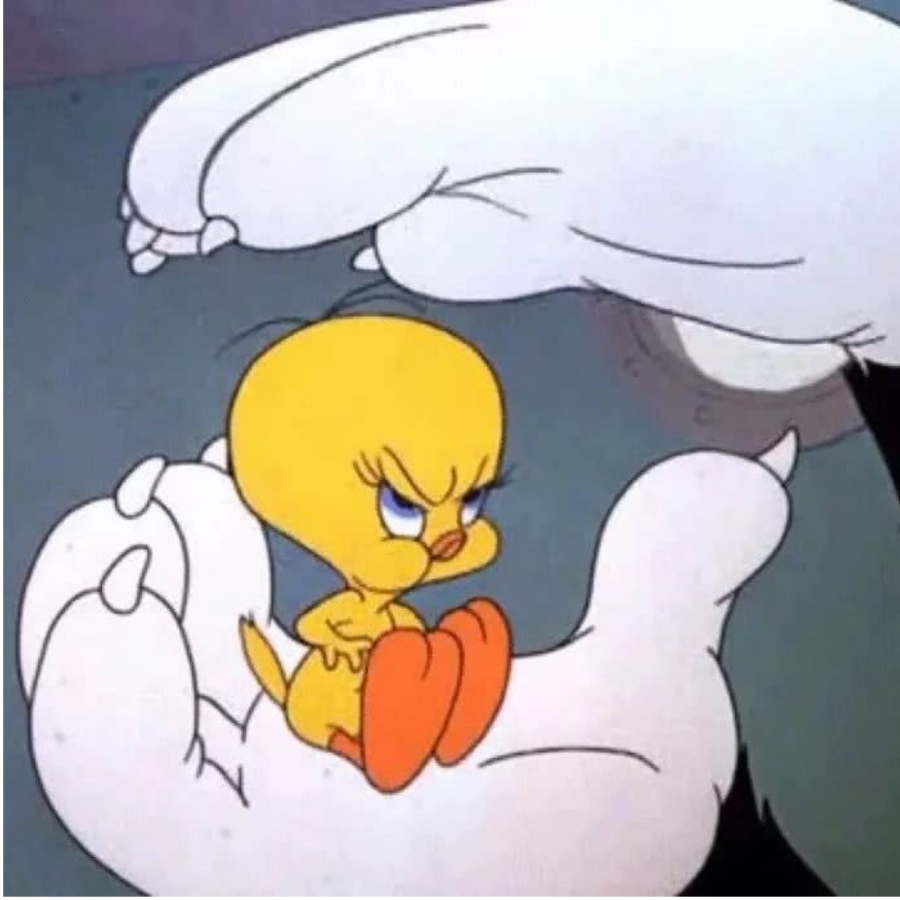 哦呀呀嘿