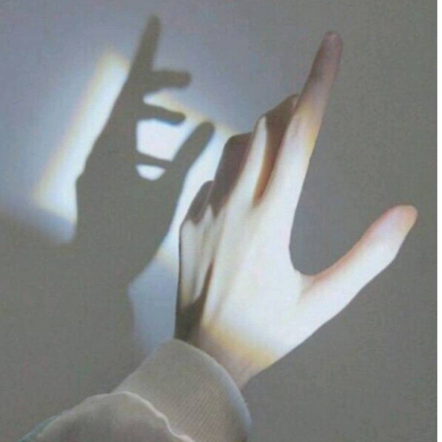 白杨
