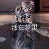 司马健国