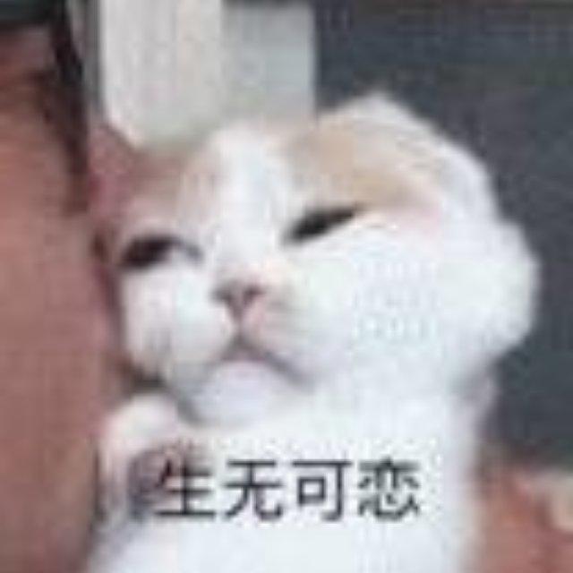 😶