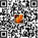 我的名字是