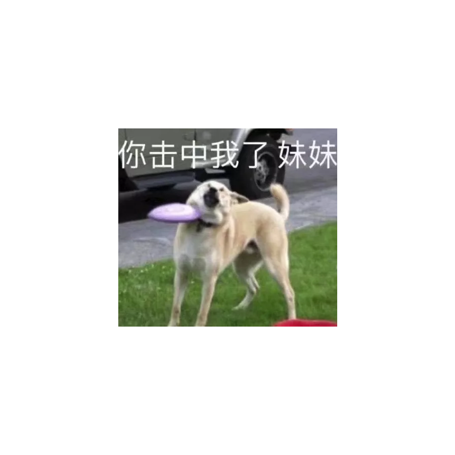 散不尽留恋